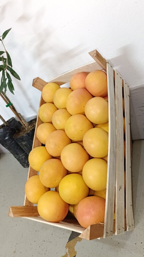 Gallery 1759922509160