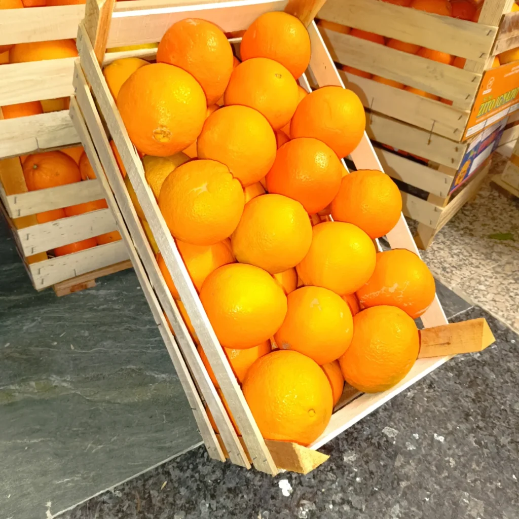 Gallery 1759922557960