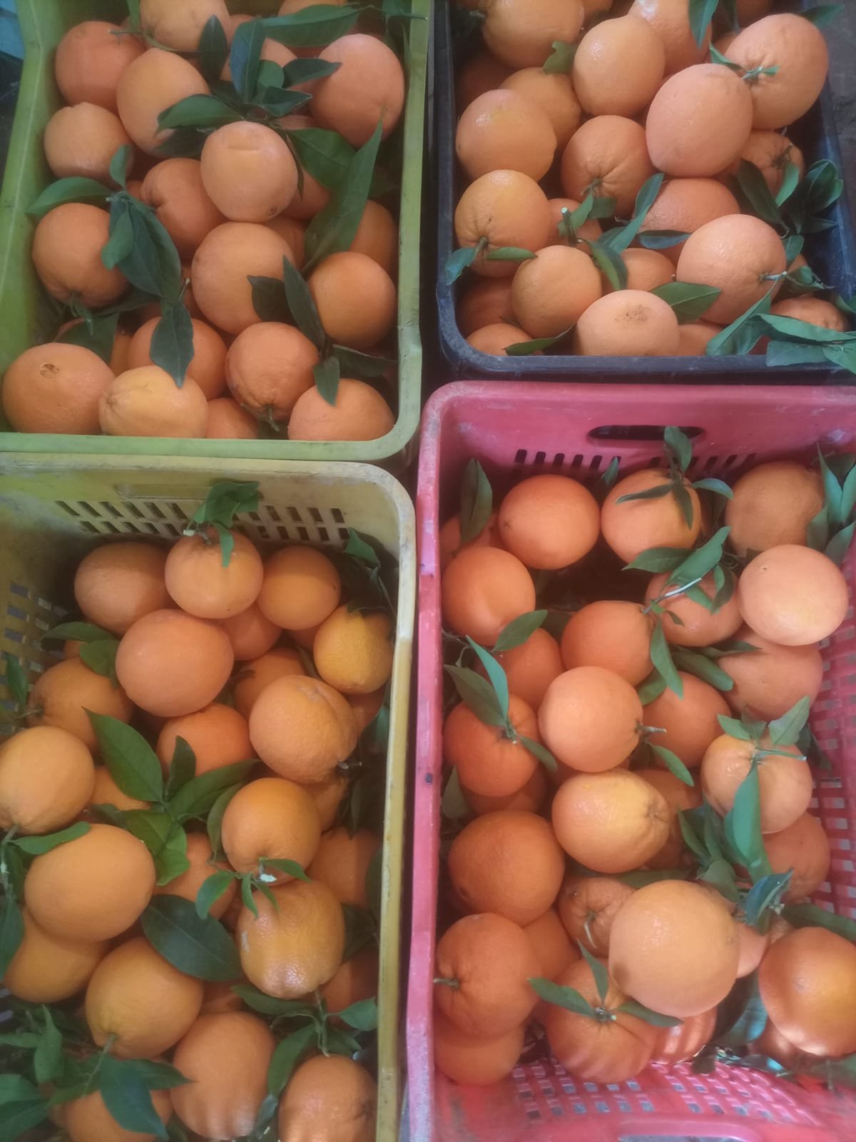 Gallery img 20211212 wa0007